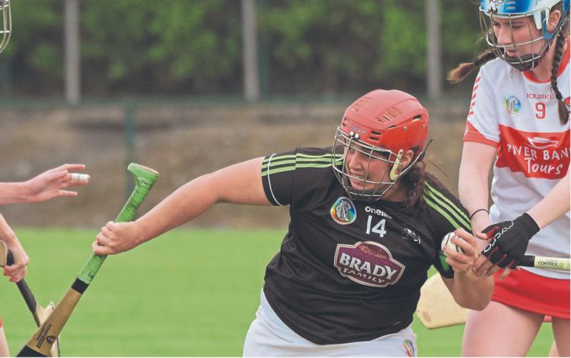 Leah Sutton stars as Kildare grabs first victory in camogie championship