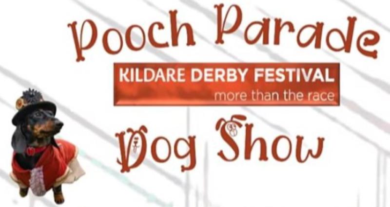 Calling all dogs to the inaugural Kildare Derby Festival Pooch Parade