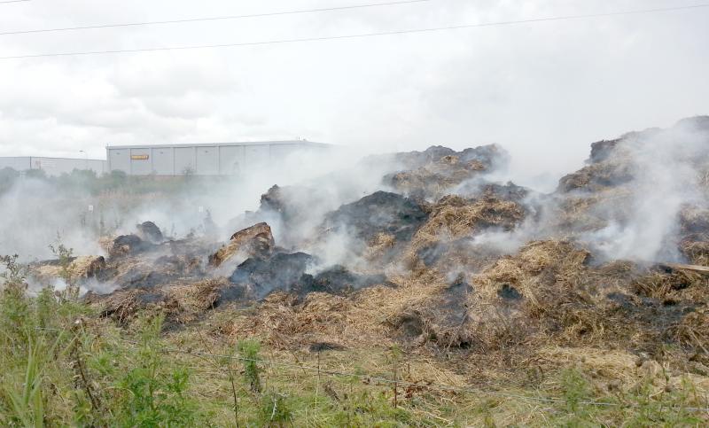 Bundle_of_Sticks_fire