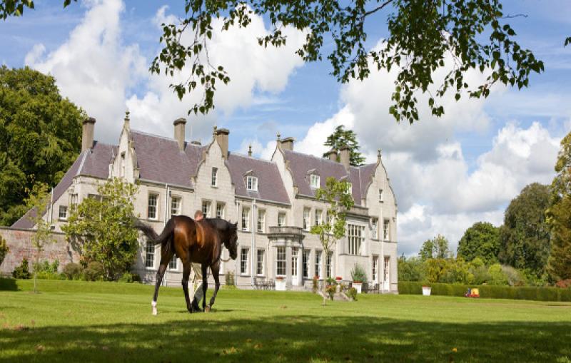 Kildangan Stud