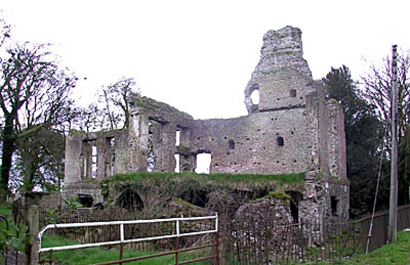Kildare castle could become a tourist attraction