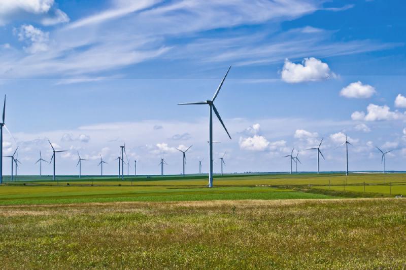Windfarm