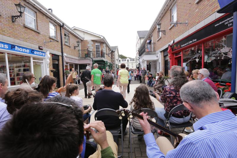 Co Kildare's Culture Night Coordinator wants proposals for this year's