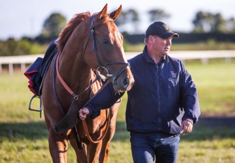 Local trainer Halford enters 5 horses in tomorrow's big race at the