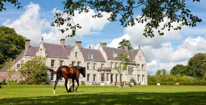 kildangan-stud