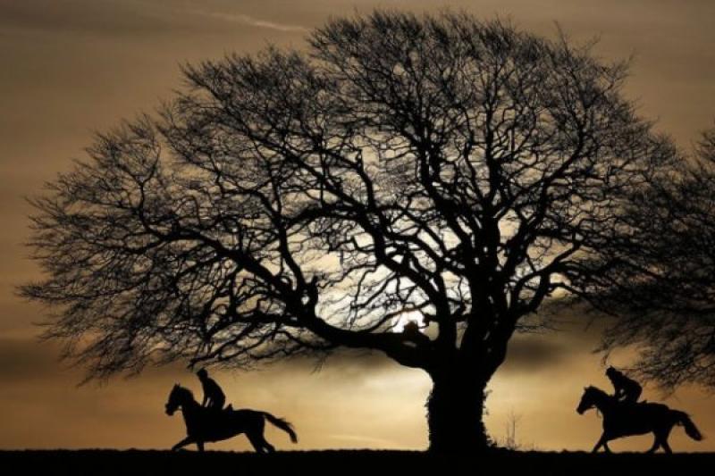 racehorses-sunrise-weather
