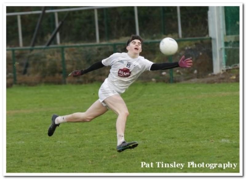 Lillies falter in opening O’Byrne Cup tie