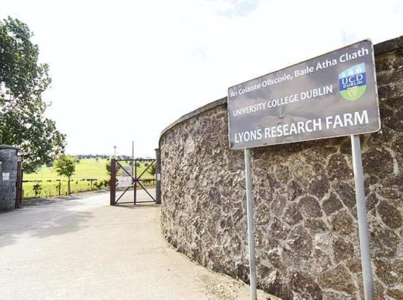 UCD Lyons Estate wants to go solar Kildare Now