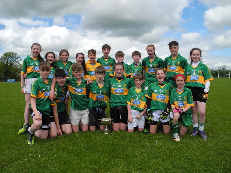 Pic 2 Gaelscoil Chill Dara