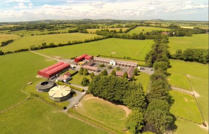 Meadow Court Stud