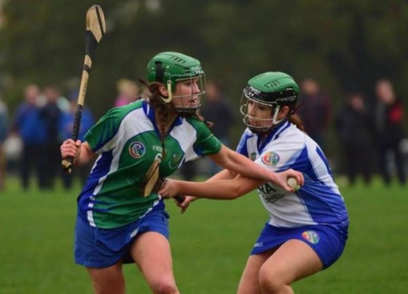 Aoife Trant Johnstownbridge camogie