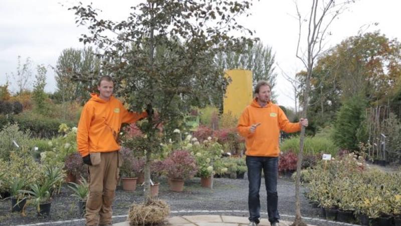 Caragh Nurseries Bare Root Image