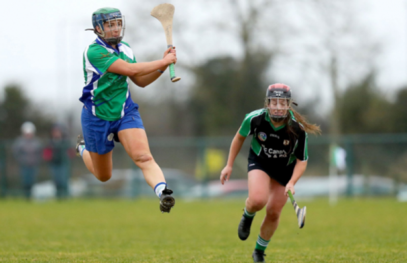 Fine first half paves the way as Johnstownbridge reach AllIreland final and create history