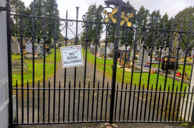 Rubbish spilling over onto graves in Kildare Town cemetery Cllr