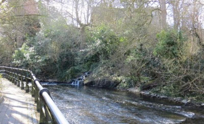 Kildare TD says she has written to the EPA to investigate pollution at Rye River