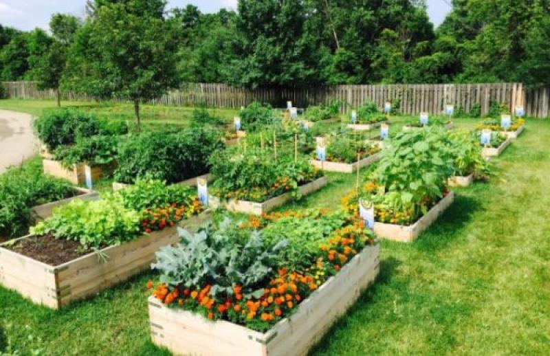 community garden