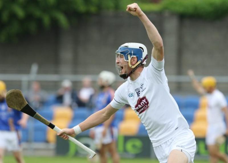 Jack Sheridan celebrates his goal in the Wicklow v Kildare Christy Ring Cup Group 1 match at Joule Park, Aughrim on Saturday (PHOTO -DAVE BARRETT)