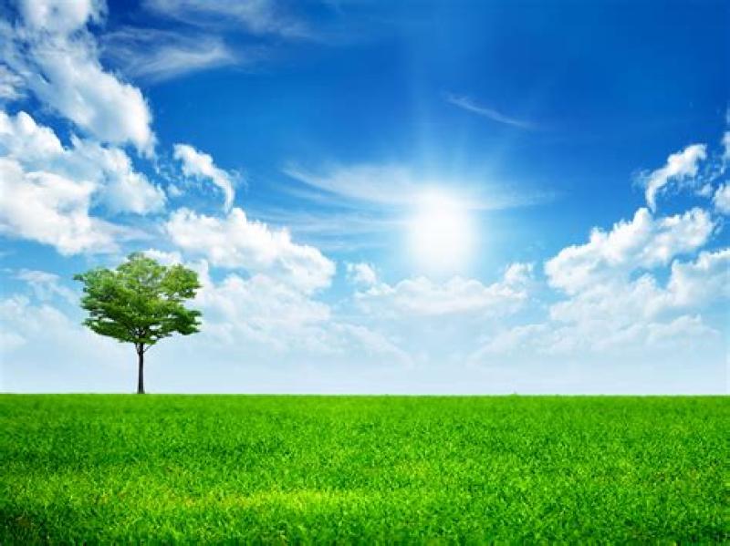 sunny day