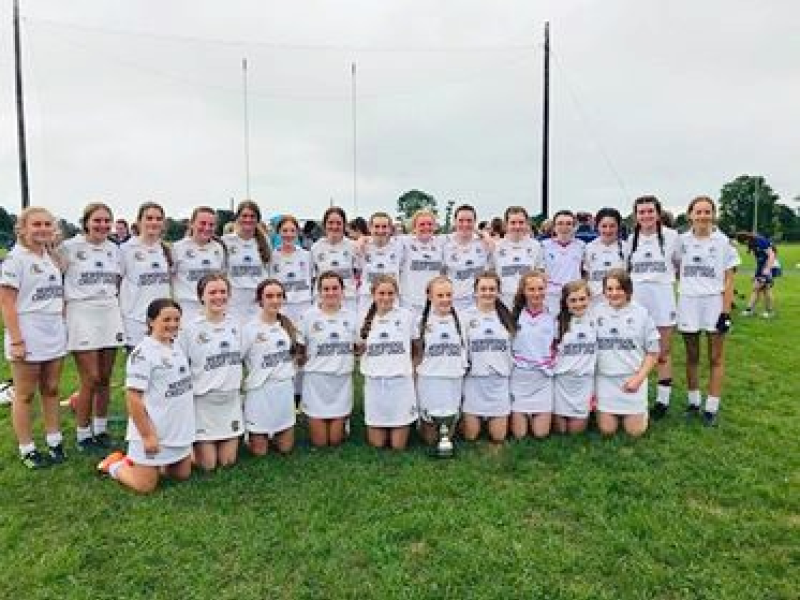 Kildare U14 Camogie who won weekend Blitz in Kilkenny Kildare Now