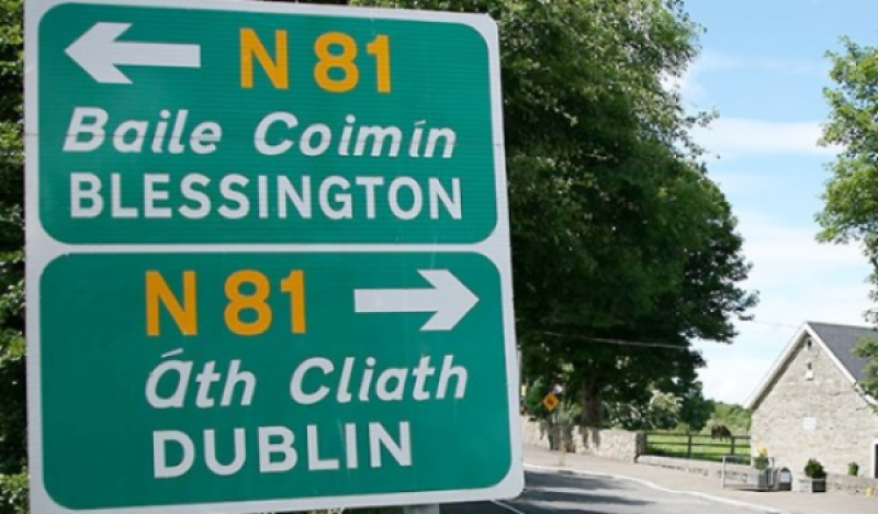 N81