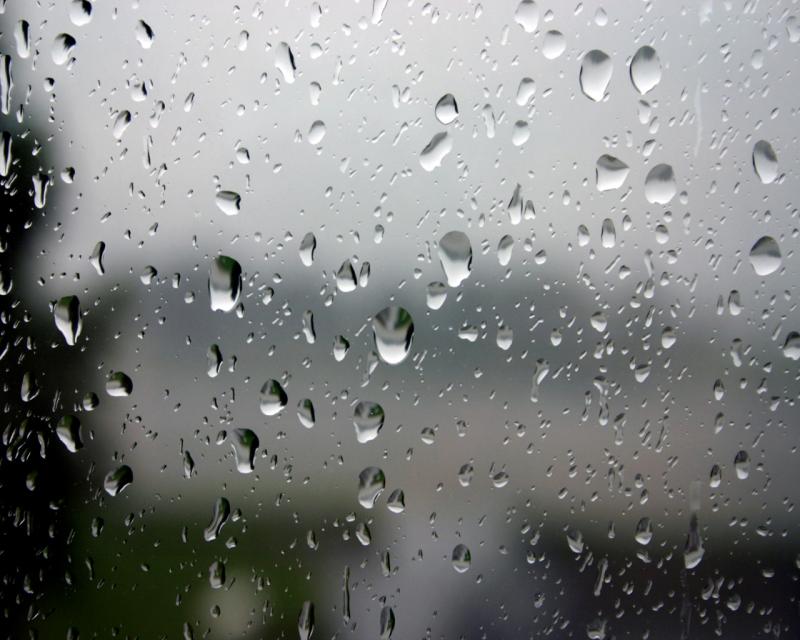 WEATHER: Occasional rain and high humidity expected over Bank Holiday weekend
