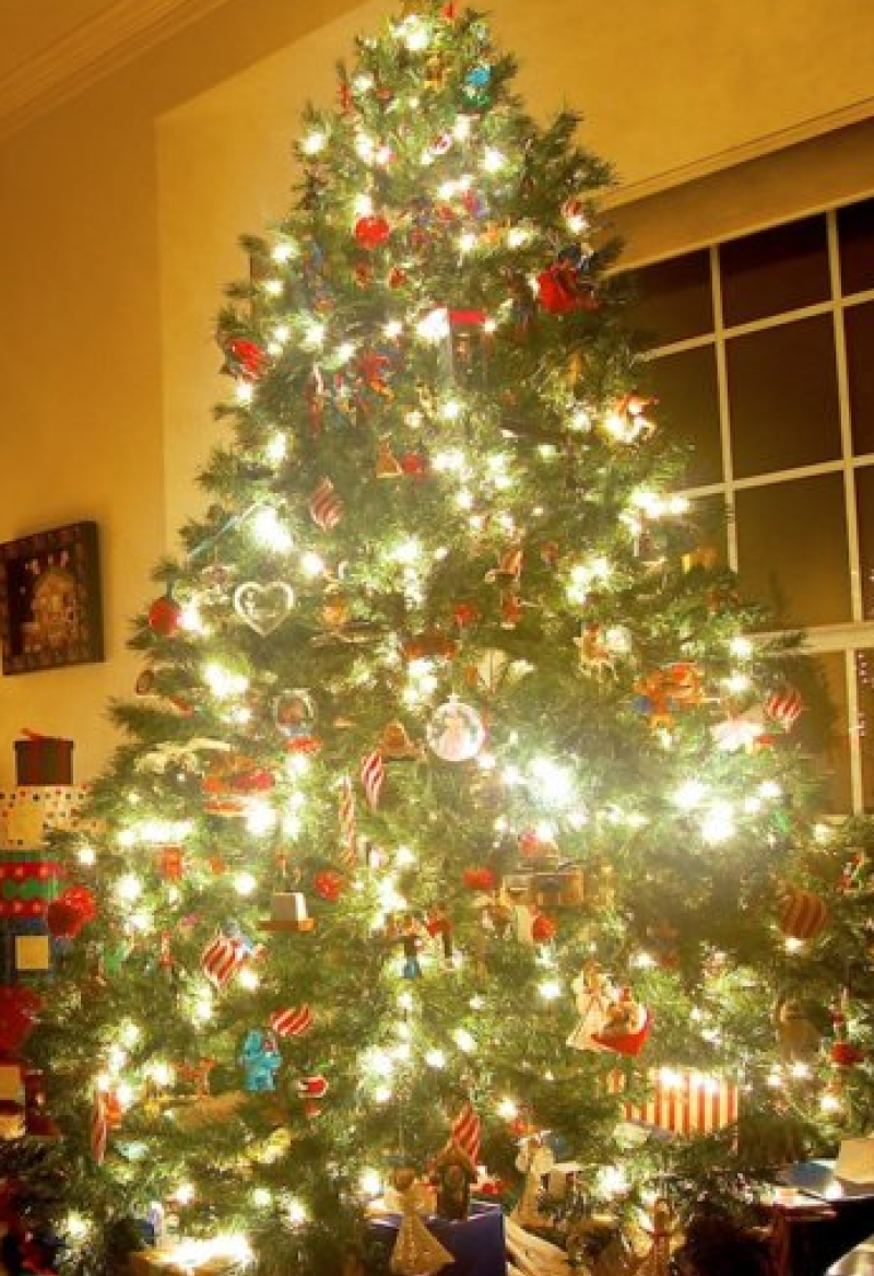 Co Kildare residents can recycle Christmas trees throughout the county