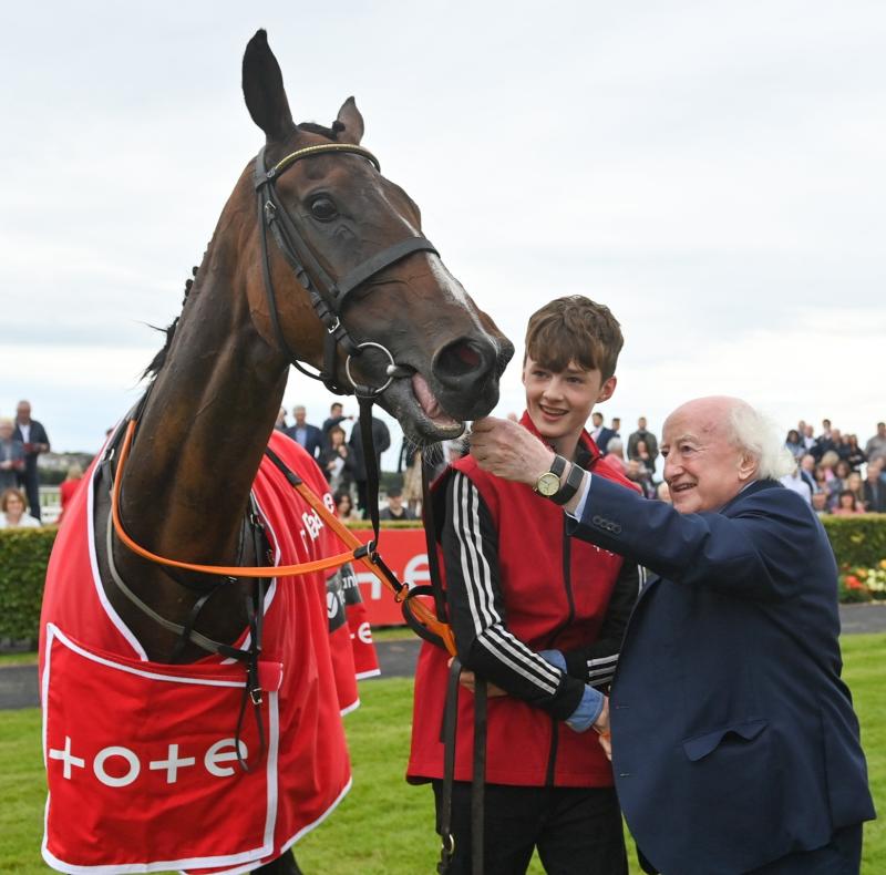 BREAKING: Horse bought in Kilkenny for €850 wins American Grand National