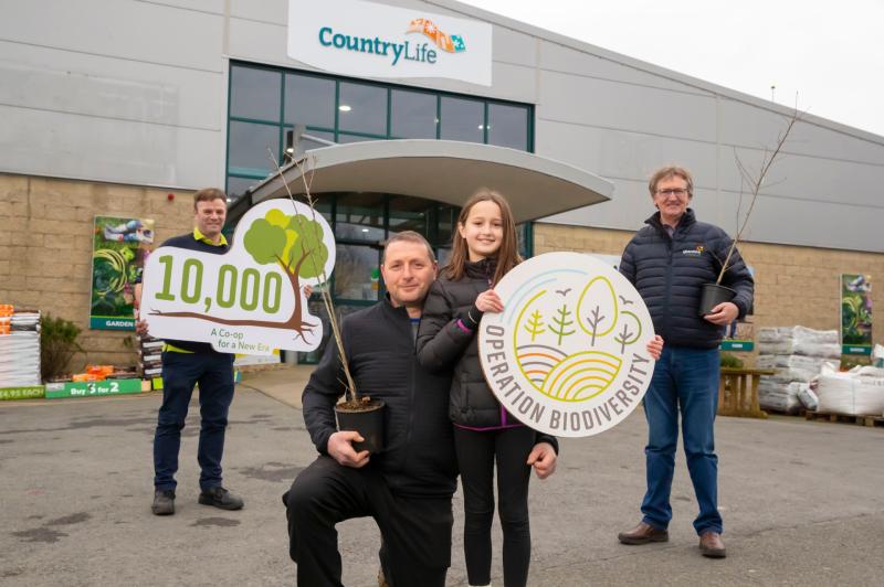 Glanbia giving away free trees in Kildare to celebrate hitting landmark biodiversity target