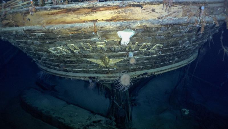 Kildare's Shackleton Museum says it would welcome any artefacts from the newly-discovered Endurance