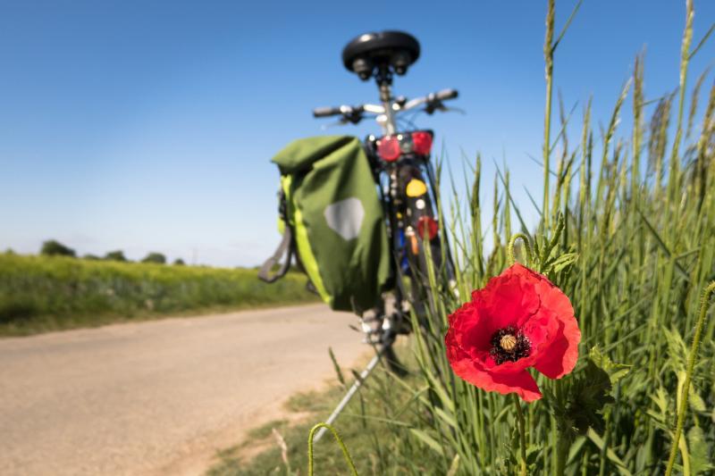 Kildare County Council proposes new cycle scheme in Maynooth