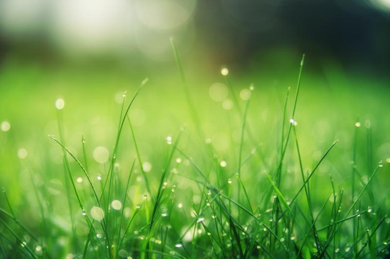 KILDARE WEATHER: Mixed bag this weekend with outbreaks of rain expected