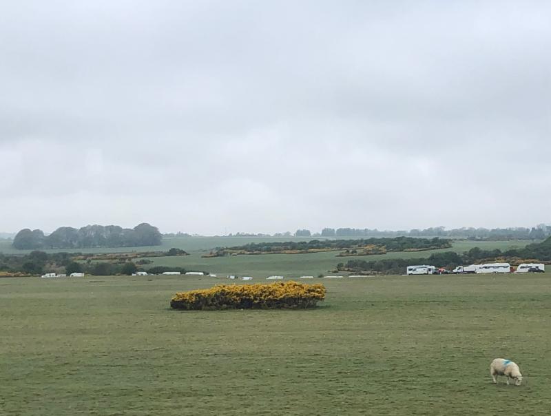 Department of Defence liaising with garda&iacute; over unauthorised encampment on the Curragh plains in Kildare 