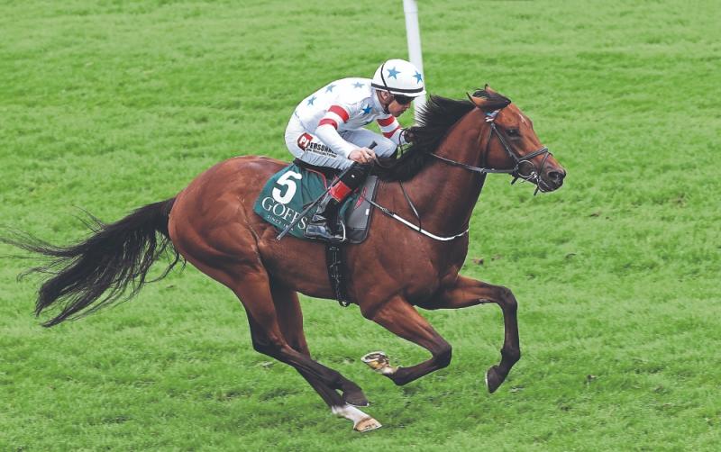 Kildare racing review: Aidan O'Brien racks up an impressive treble at Naas