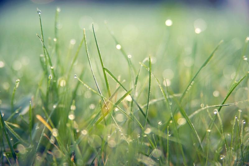 WEATHER: An unsettled weekend ahead with heavy showers and spells of sunshine 