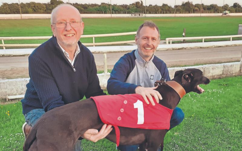 Kildare greyhound racing: Results and news from Newbridge