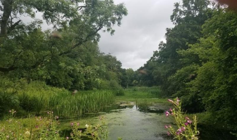 Farm walk with Farming for Nature Ambassador to take place in Kildare