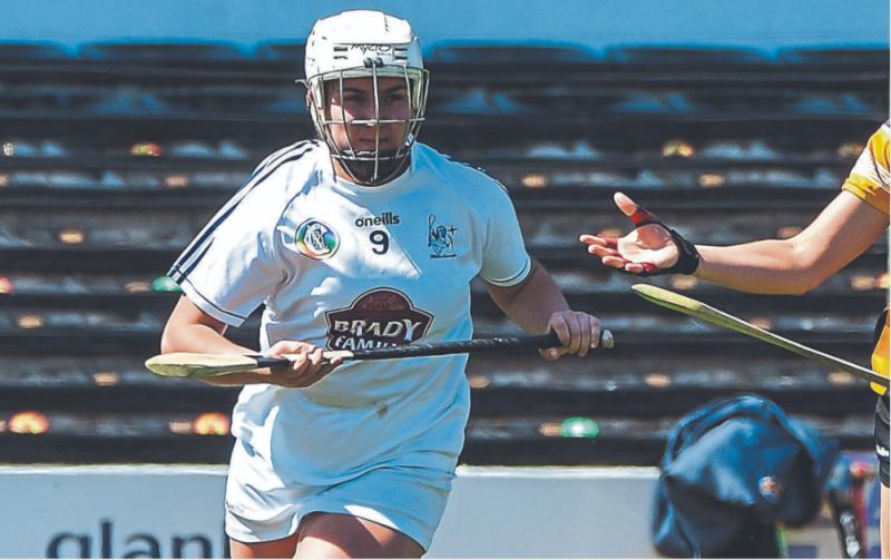 Defeat for Kildare pushes them into camogie relegation battle