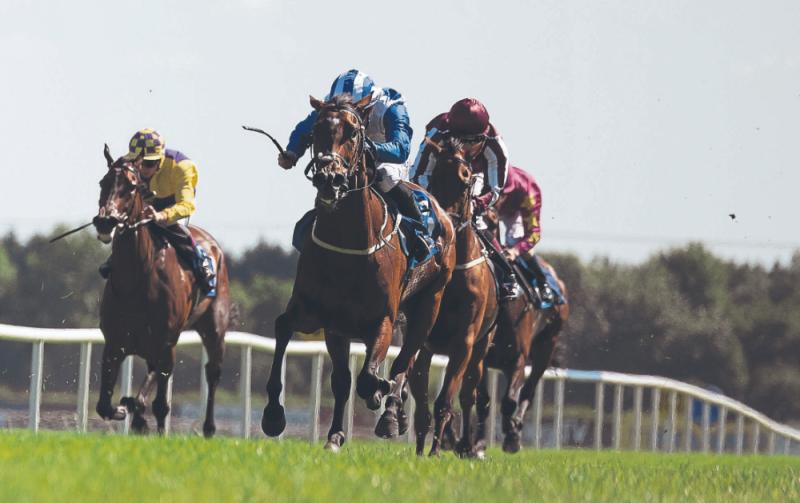 Kildare Racing News: Keane and O'Callaghan strike with favourite at Navan