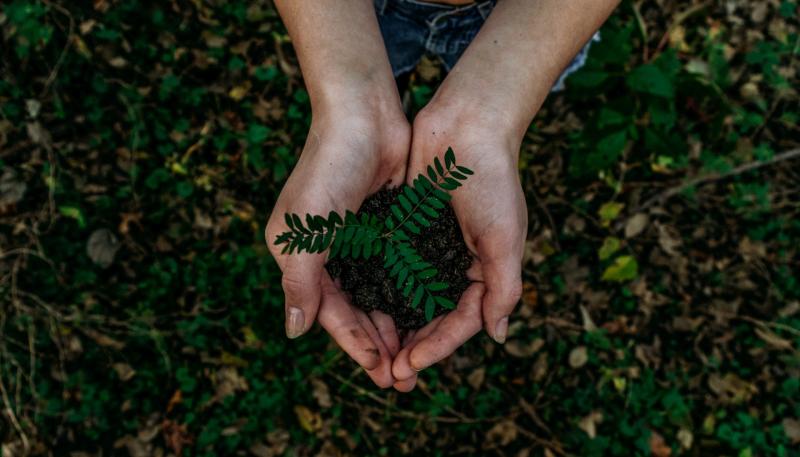 Sustainability talks for adults and children to take place in Newbridge, Kildare, this weekend