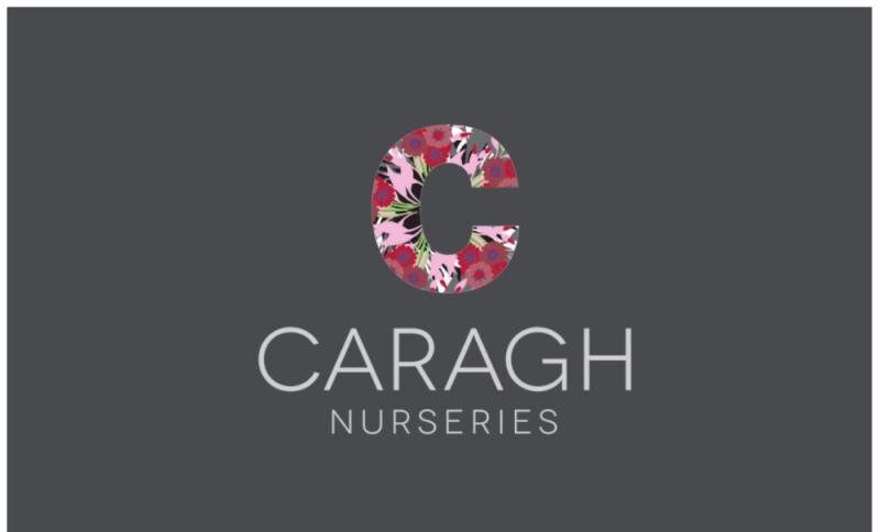 Caragh Nurseries is Recruiting for the Following Positions 