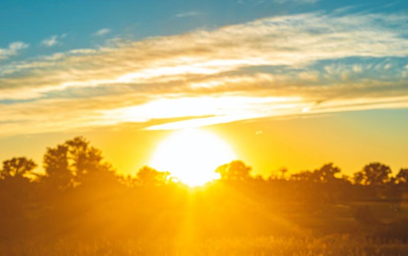 KILDARE WEATHER: Sunny spells on the way as well as some showers 
