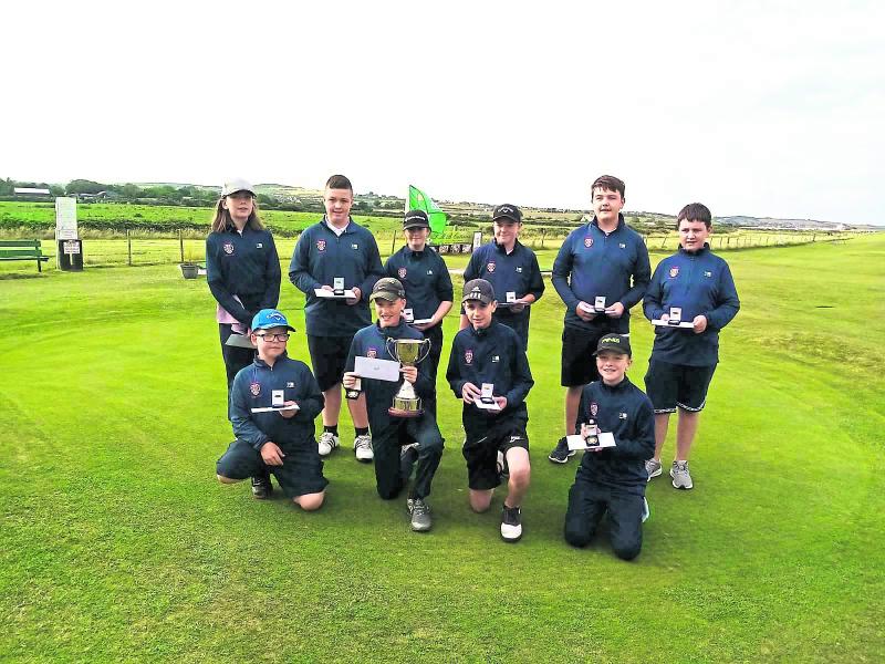 Great weekend for Kildare at Leinster pitch and putt finals Kildare Now