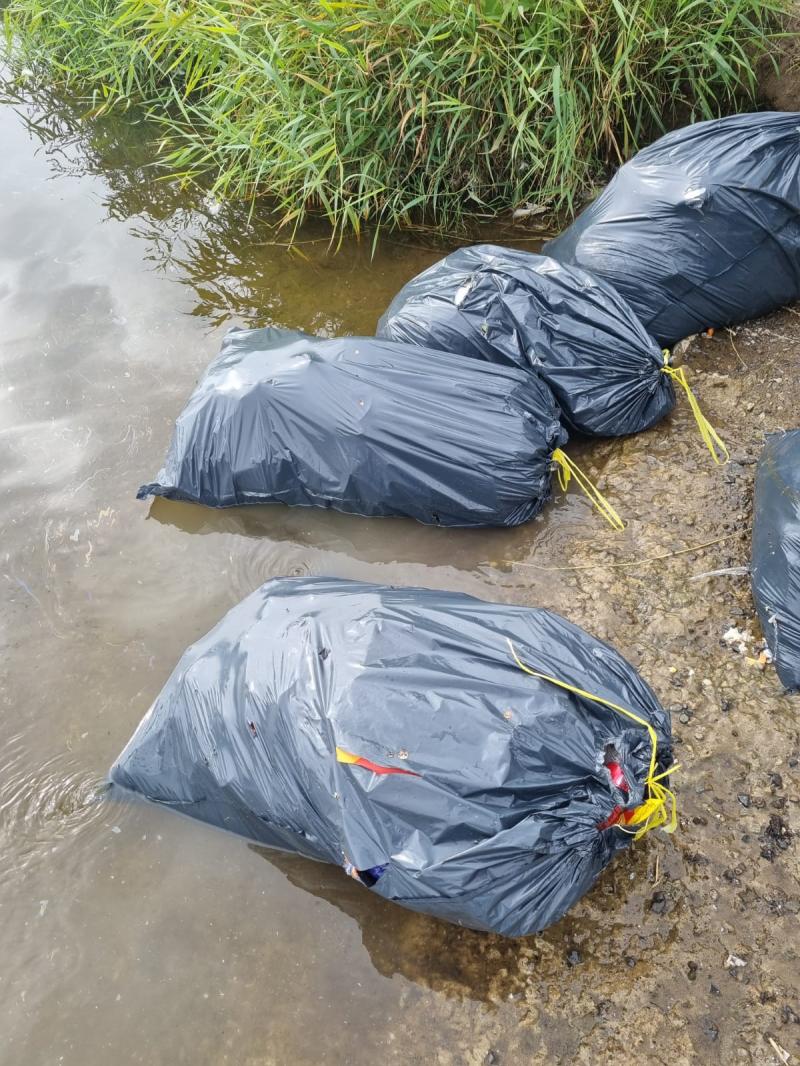 NEWS BRIEF: Kildare County Council condemns black bags of rubbish dumped in Monasterevin