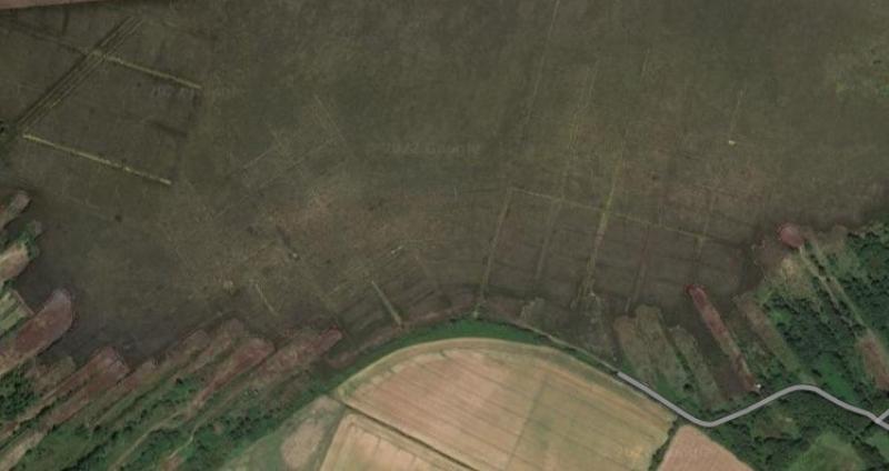 'Gruesome find': Greyhound remains discovered at Newbridge, County Kildare bog