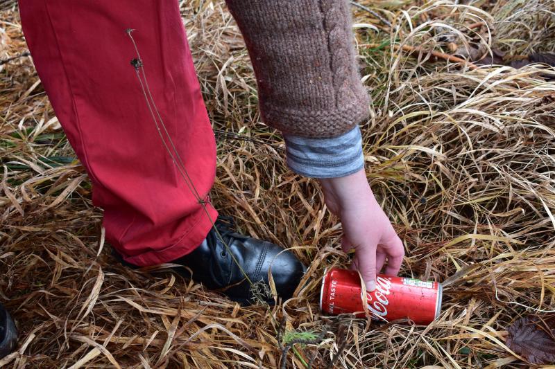 NEWS BRIEF: Business to host clean up event in Kildare