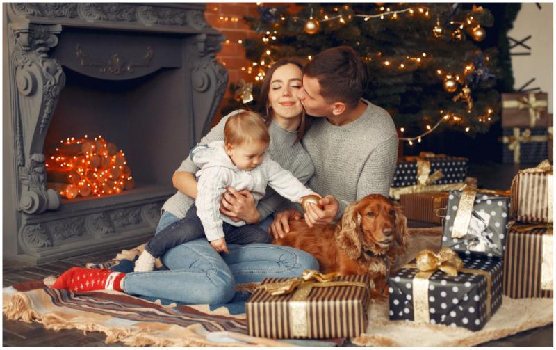 Copper Beech Farm - An enchanted Santa experience 