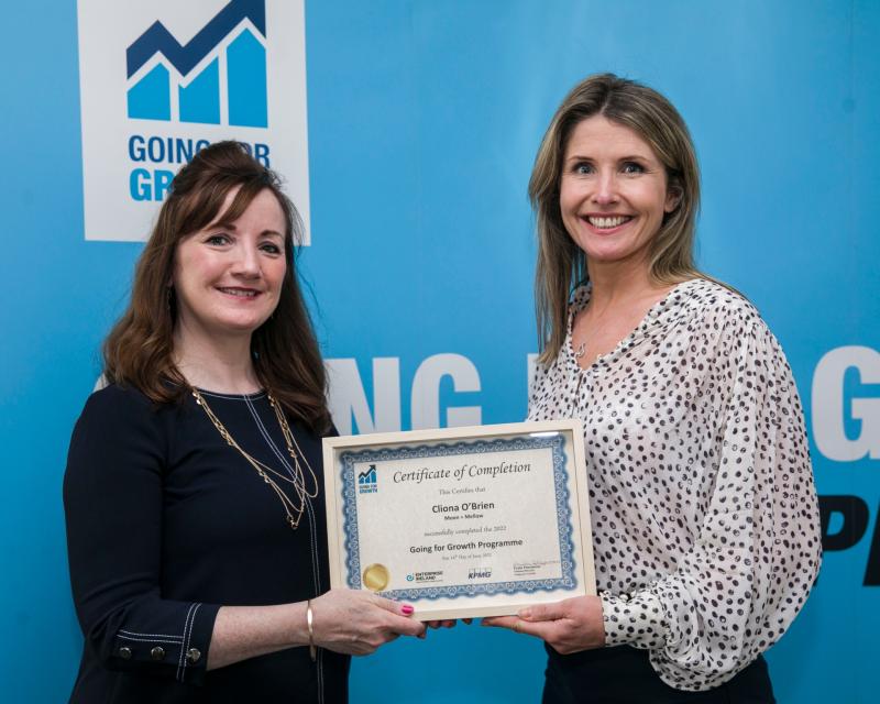 Ambitious female entrepreneurs from Kildare sought for 15th cycle of Going for Growth programme