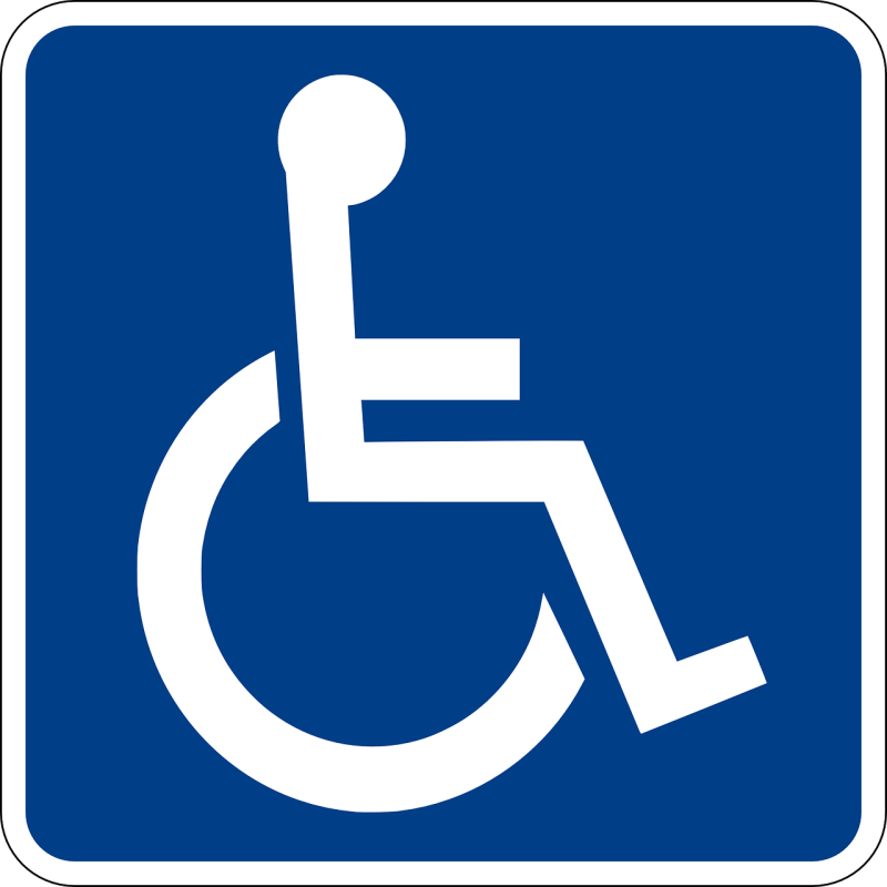 NEWS BRIEF: Wheelchair-friendly swing approved for park in Kildare
