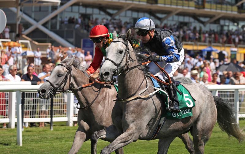 Kildarebased equine company partners with The Saudi Cup 2023 Kildare Now