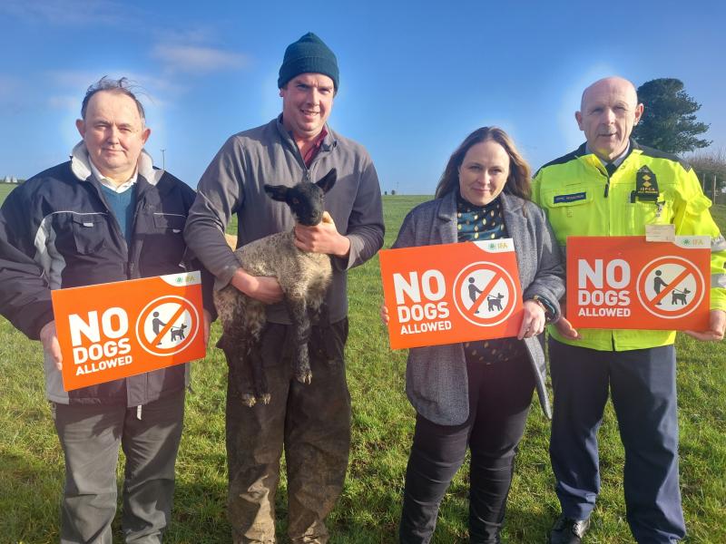 KILDARE Kildare farmer had to climb tree to escape attacking